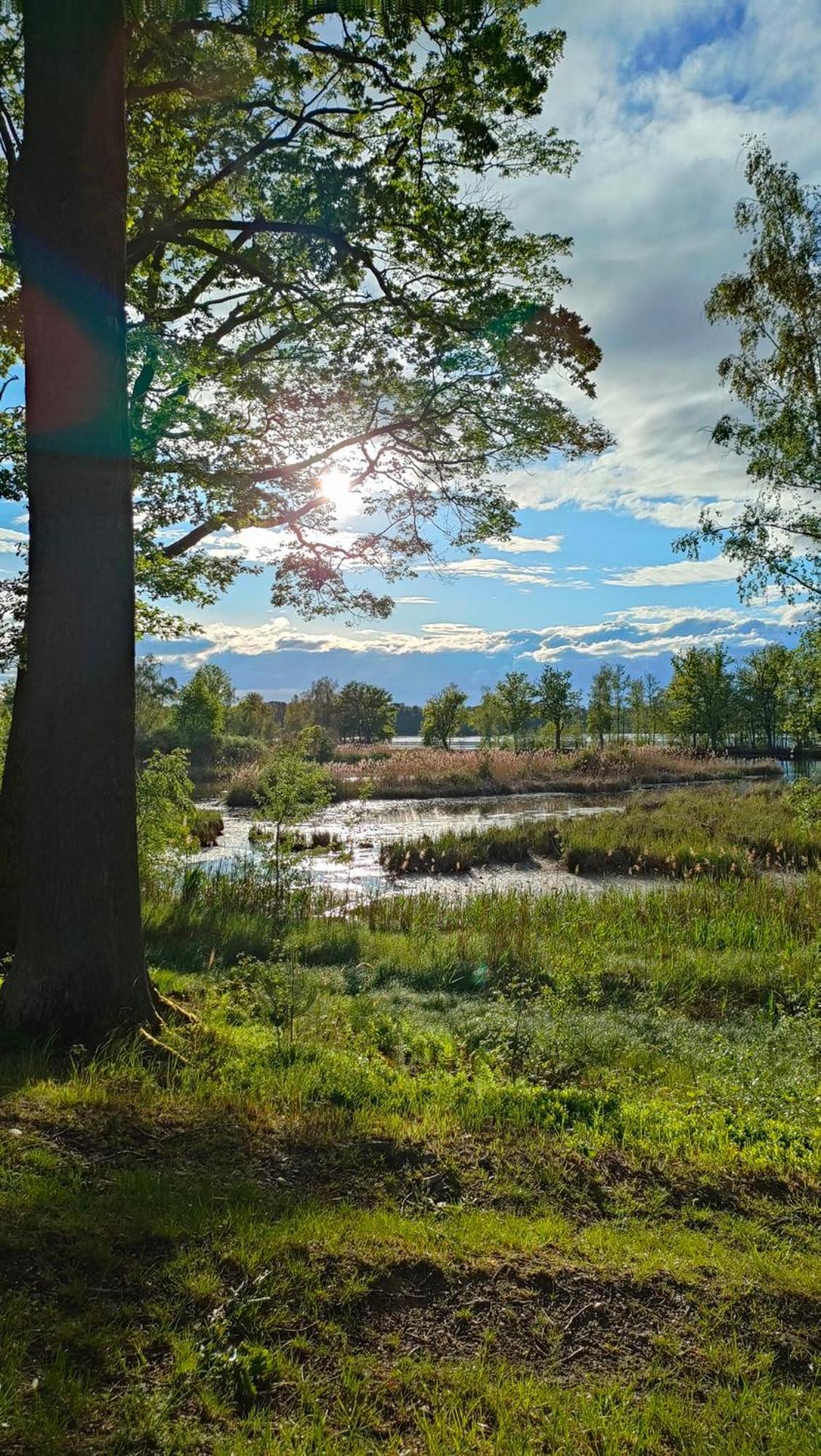 Rekreacni Chata Val Veselí nad Lužnicí エクステリア 写真